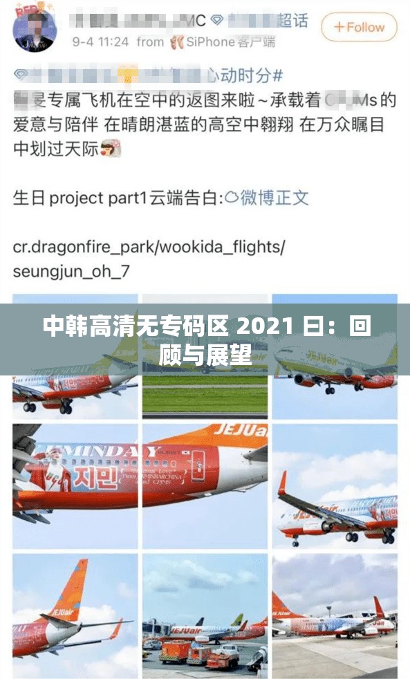 中韩高清无专码区 2021 曰：回顾与展望