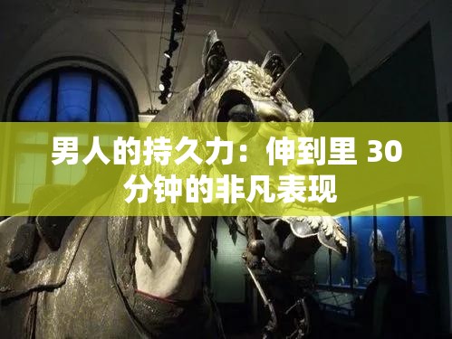 男人的持久力：伸到里 30 分钟的非凡表现