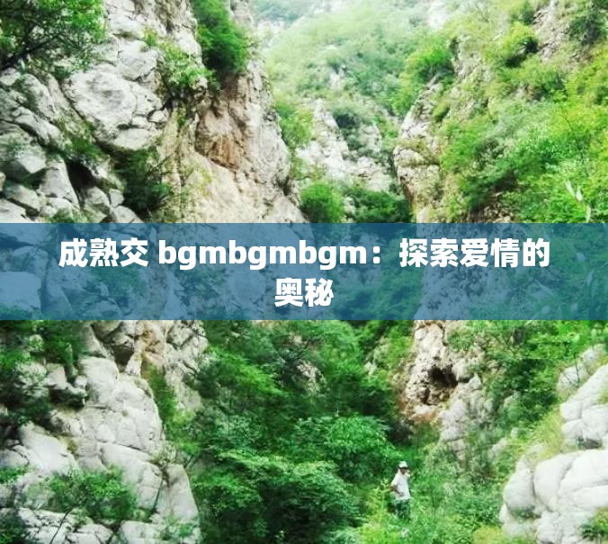 成熟交 bgmbgmbgm：探索爱情的奥秘