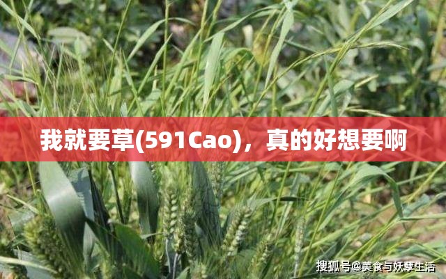 我就要草(591Cao)，真的好想要啊