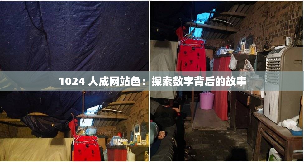 1024 人成网站色：探索数字背后的故事