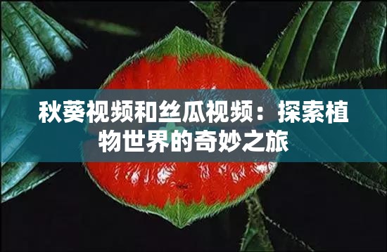 秋葵视频和丝瓜视频：探索植物世界的奇妙之旅