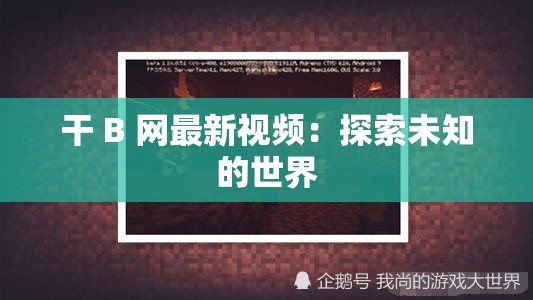 干 B 网最新视频：探索未知的世界