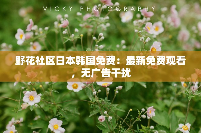 野花社区日本韩国免费：最新免费观看，无广告干扰