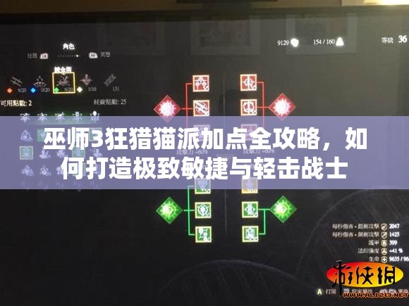 巫师3狂猎猫派加点全攻略，如何打造极致敏捷与轻击战士