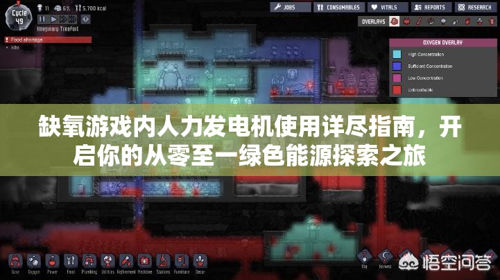 缺氧游戏内人力发电机使用详尽指南，开启你的从零至一绿色能源探索之旅