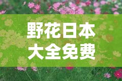 野花日本大全免费 2019：观赏日本野花的绝佳指南