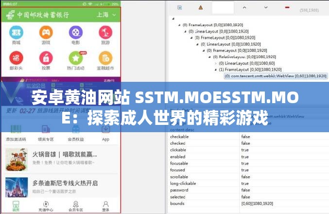 安卓黄油网站 SSTM.MOESSTM.MOE：探索成人世界的精彩游戏