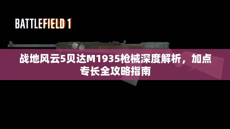 战地风云5贝达M1935枪械深度解析，加点专长全攻略指南