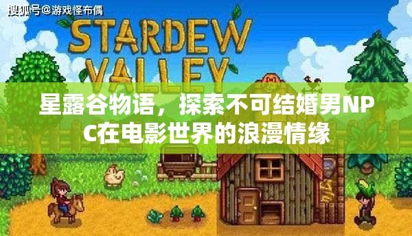 星露谷物语，探索不可结婚男NPC在电影世界的浪漫情缘
