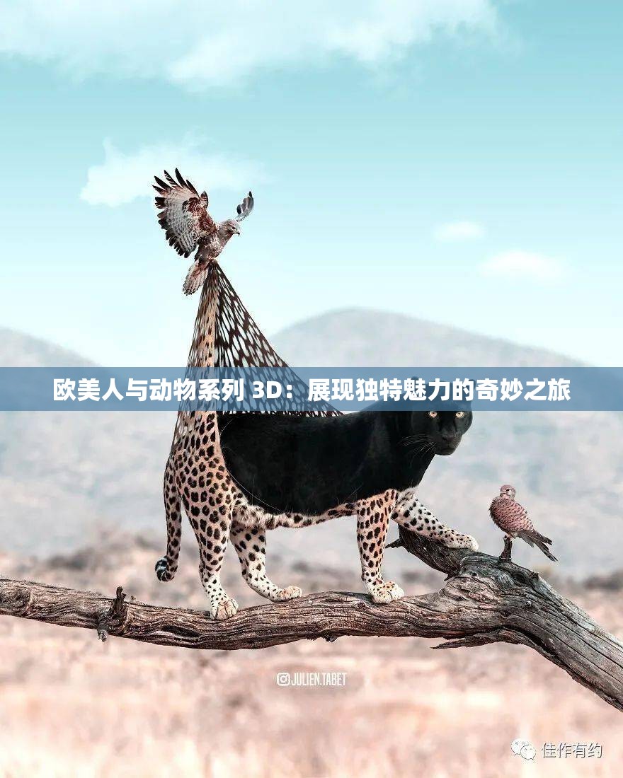 欧美人与动物系列 3D：展现独特魅力的奇妙之旅