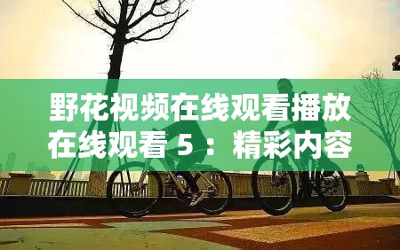 野花视频在线观看播放在线观看 5 ：精彩内容等你发现