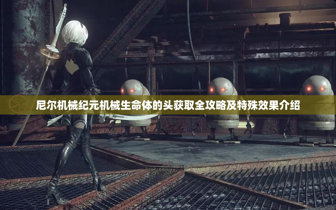 尼尔机械纪元机械生命体的头获取全攻略及特殊效果介绍