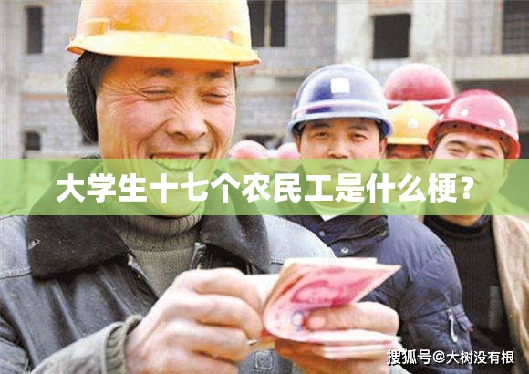 大学生十七个农民工是什么梗？