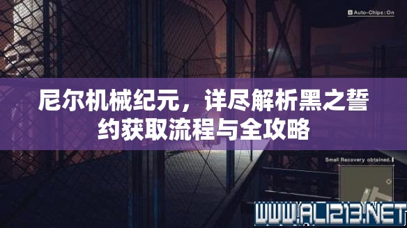 尼尔机械纪元，详尽解析黑之誓约获取流程与全攻略