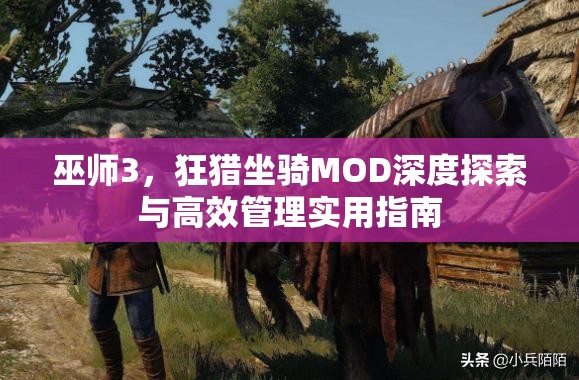 巫师3，狂猎坐骑MOD深度探索与高效管理实用指南