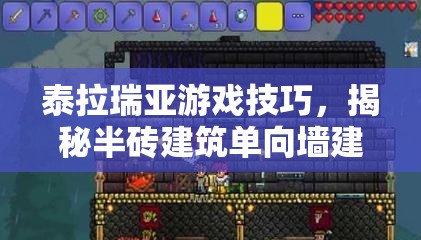 泰拉瑞亚游戏技巧，揭秘半砖建筑单向墙建造秘籍与全攻略