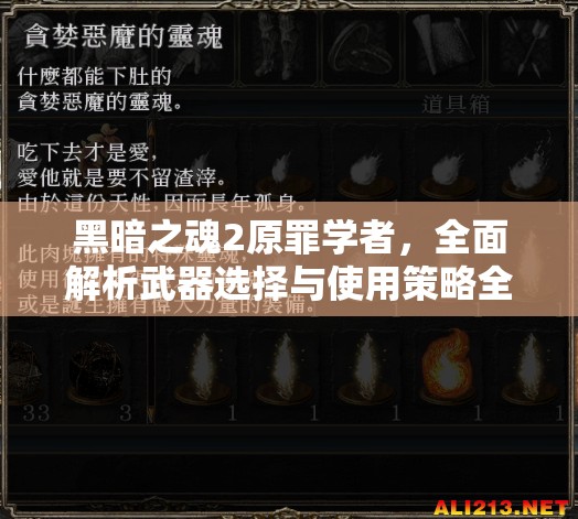 黑暗之魂2原罪学者，全面解析武器选择与使用策略全攻略