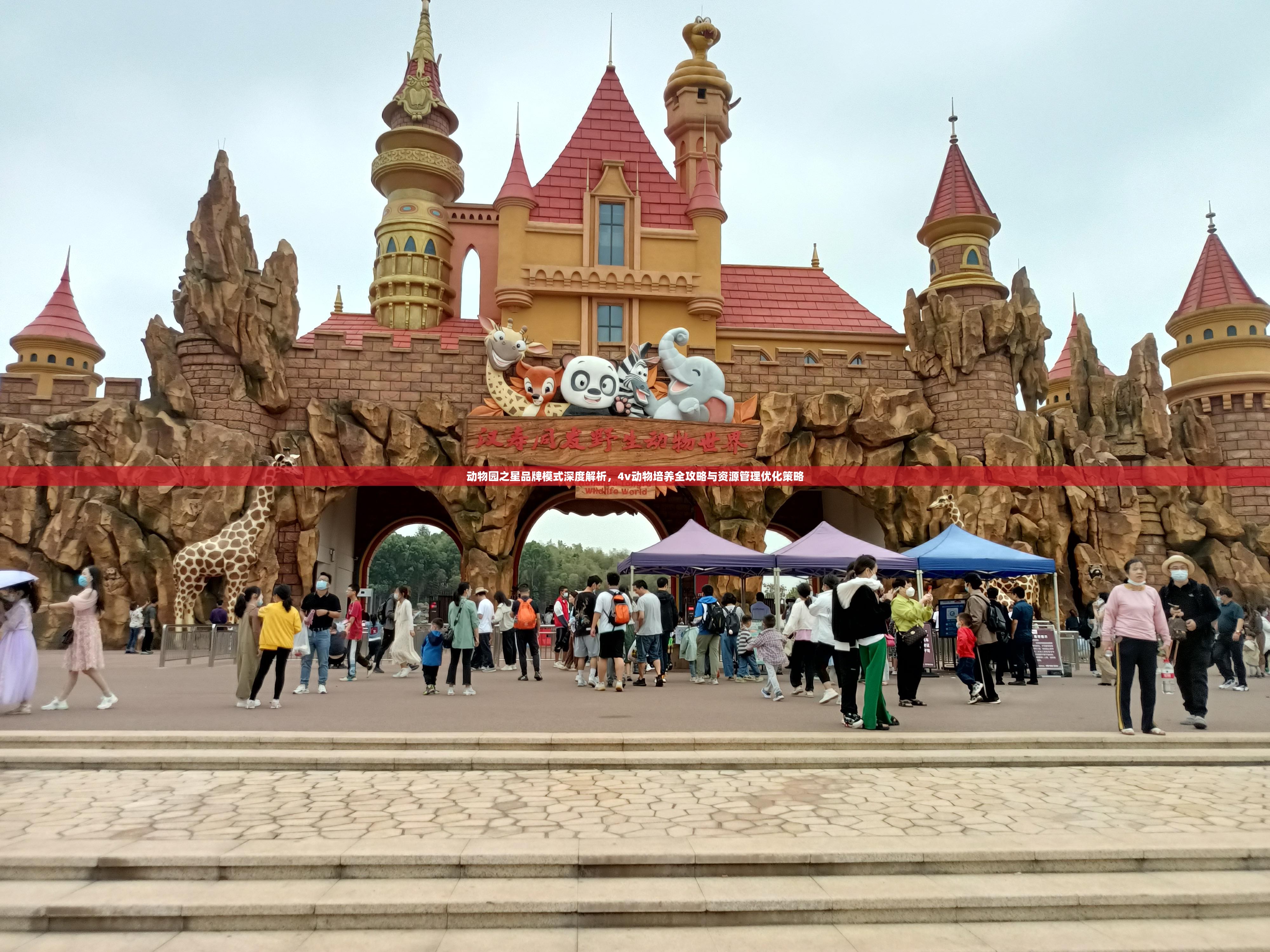 动物园之星品牌模式深度解析，4v动物培养全攻略与资源管理优化策略