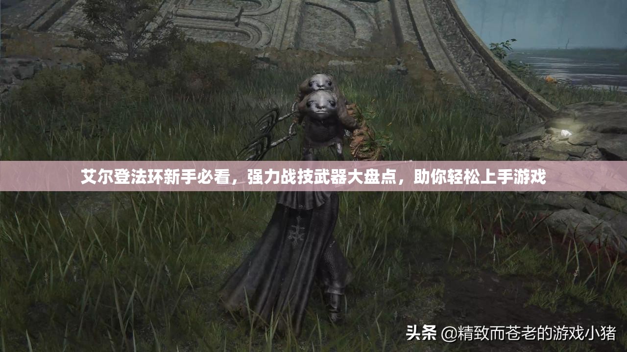 艾尔登法环新手必看，强力战技武器大盘点，助你轻松上手游戏