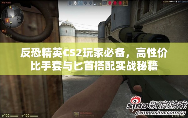 反恐精英CS2玩家必备，高性价比手套与匕首搭配实战秘籍