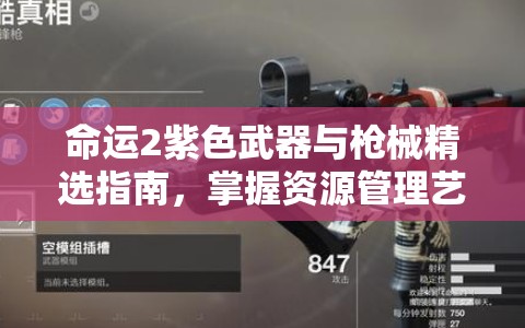 命运2紫色武器与枪械精选指南，掌握资源管理艺术，打造最强装备组合