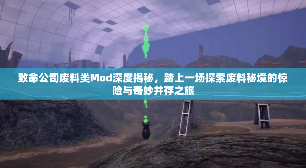 致命公司废料类Mod深度揭秘，踏上一场探索废料秘境的惊险与奇妙并存之旅