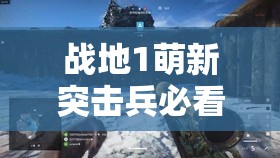 战地1萌新突击兵必看，全面解析与推荐最佳武器选择策略