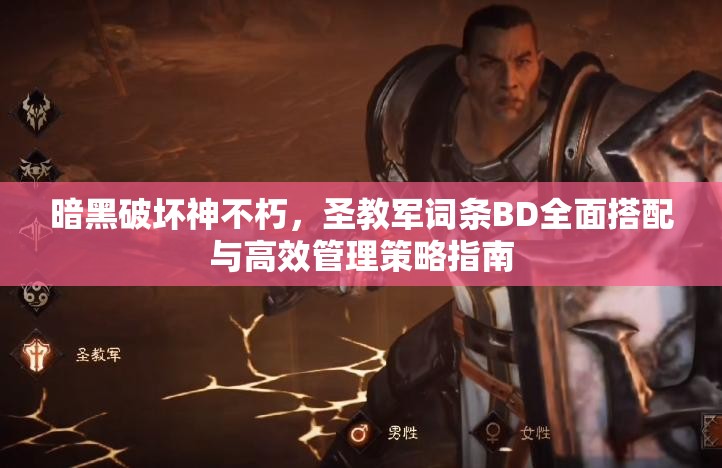 暗黑破坏神不朽，圣教军词条BD全面搭配与高效管理策略指南