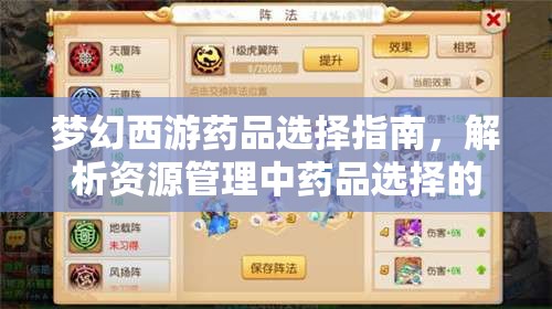 梦幻西游药品选择指南，解析资源管理中药品选择的重要性与实战策略