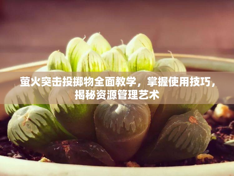萤火突击投掷物全面教学，掌握使用技巧，揭秘资源管理艺术