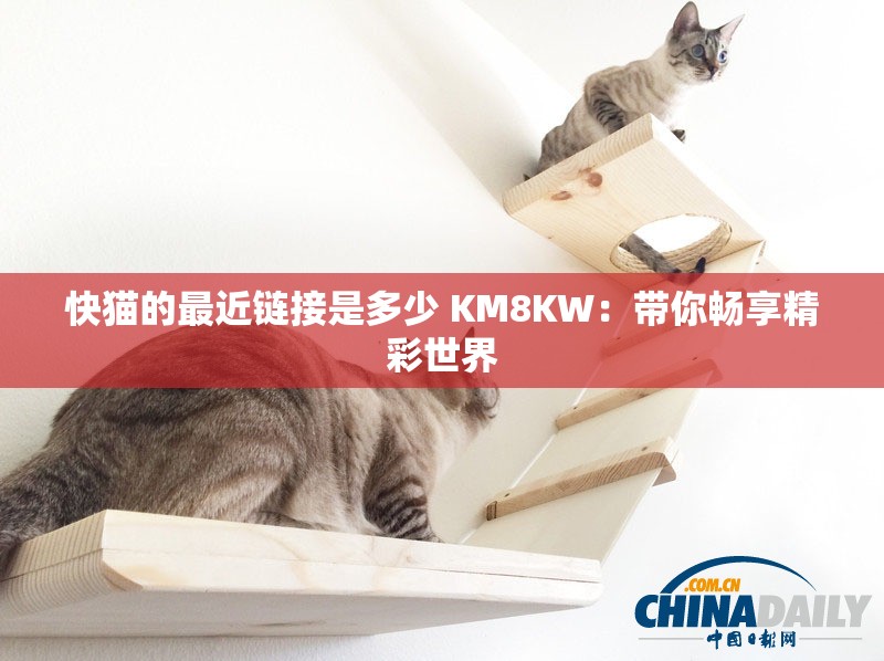 快猫的最近链接是多少 KM8KW：带你畅享精彩世界