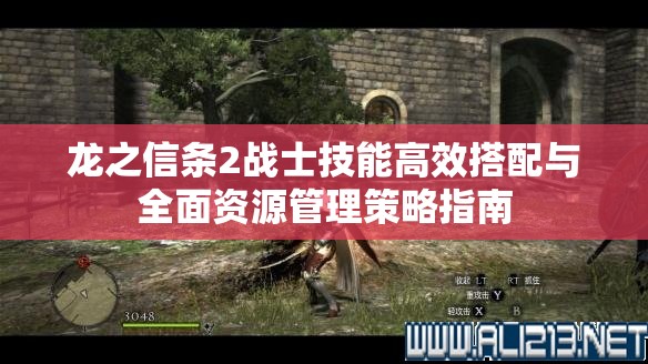 龙之信条2战士技能高效搭配与全面资源管理策略指南