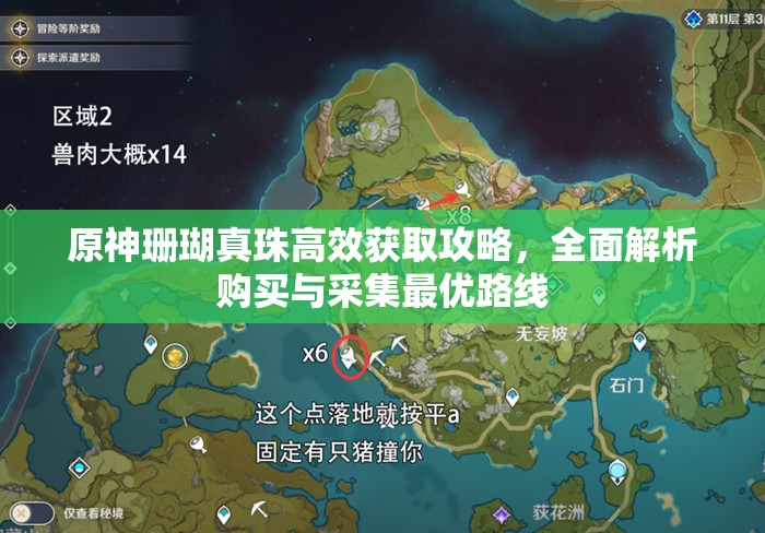 原神珊瑚真珠高效获取攻略，全面解析购买与采集最优路线