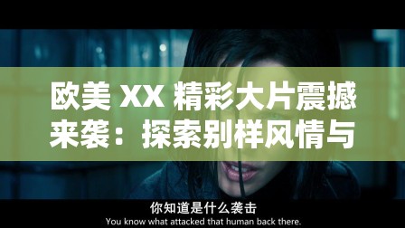 欧美 XX 精彩大片震撼来袭：探索别样风情与故事