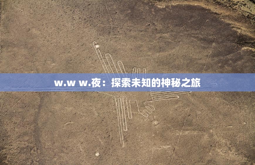 w.w w.夜：探索未知的神秘之旅