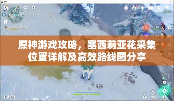 原神游戏攻略，塞西莉亚花采集位置详解及高效路线图分享