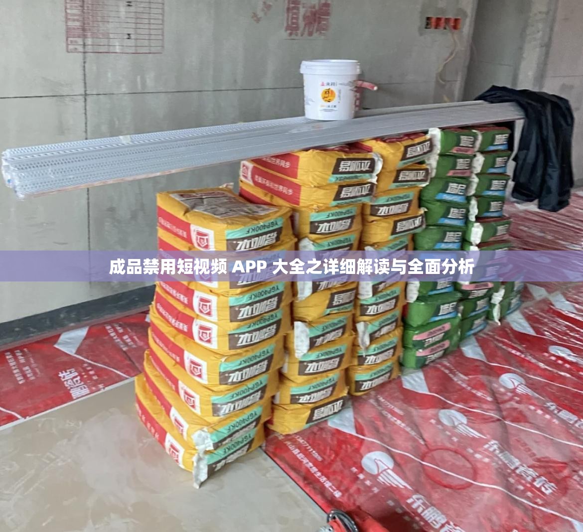 成品禁用短视频 APP 大全之详细解读与全面分析