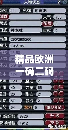 精品欧洲一码二码区别在哪：深入剖析两者不同之处
