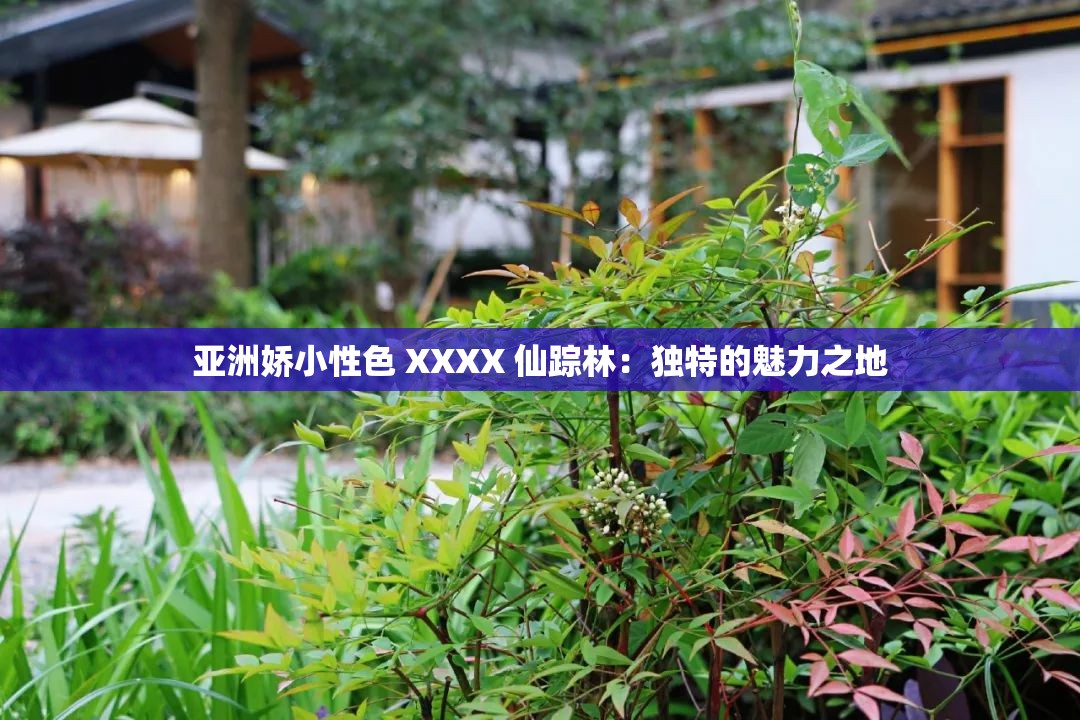 亚洲娇小性色 XXXX 仙踪林：独特的魅力之地