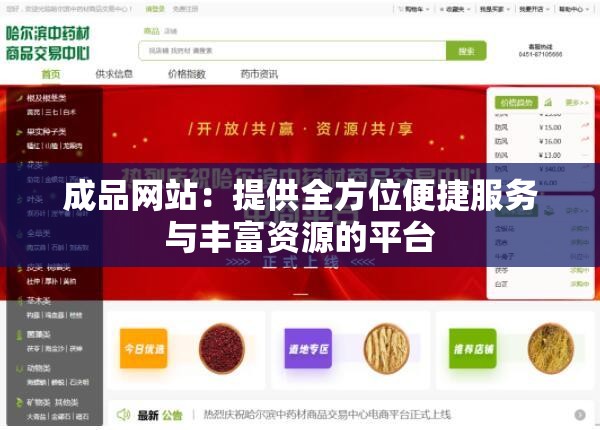 成品网站：提供全方位便捷服务与丰富资源的平台