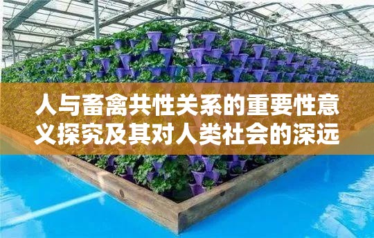 人与畜禽共性关系的重要性意义探究及其对人类社会的深远影响