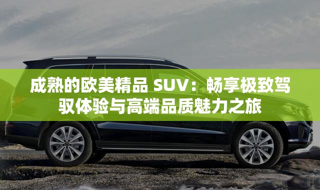 成熟的欧美精品 SUV：畅享极致驾驭体验与高端品质魅力之旅