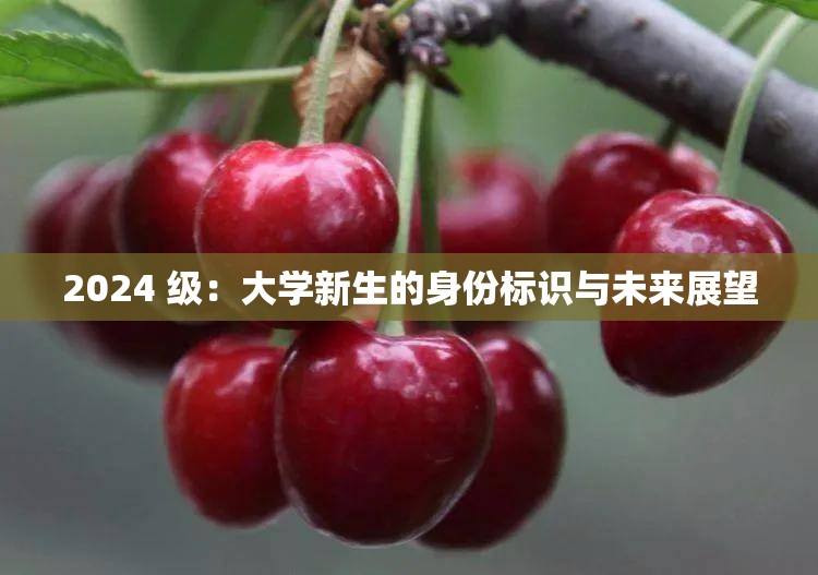 2024 级：大学新生的身份标识与未来展望