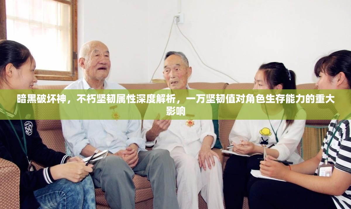 暗黑破坏神，不朽坚韧属性深度解析，一万坚韧值对角色生存能力的重大影响