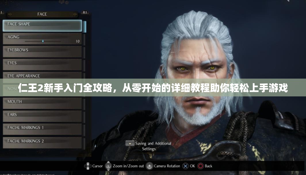 仁王2新手入门全攻略，从零开始的详细教程助你轻松上手游戏