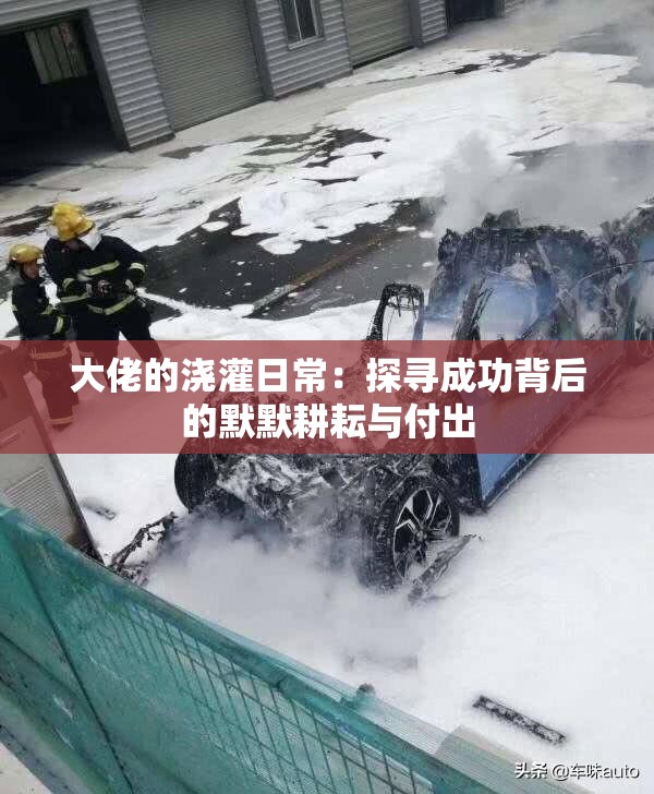 大佬的浇灌日常：探寻成功背后的默默耕耘与付出