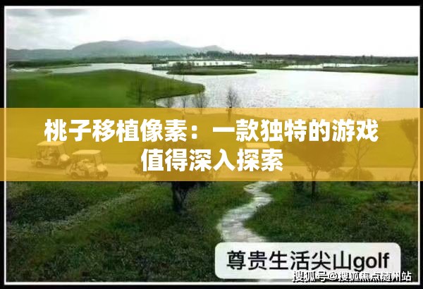 桃子移植像素：一款独特的游戏值得深入探索