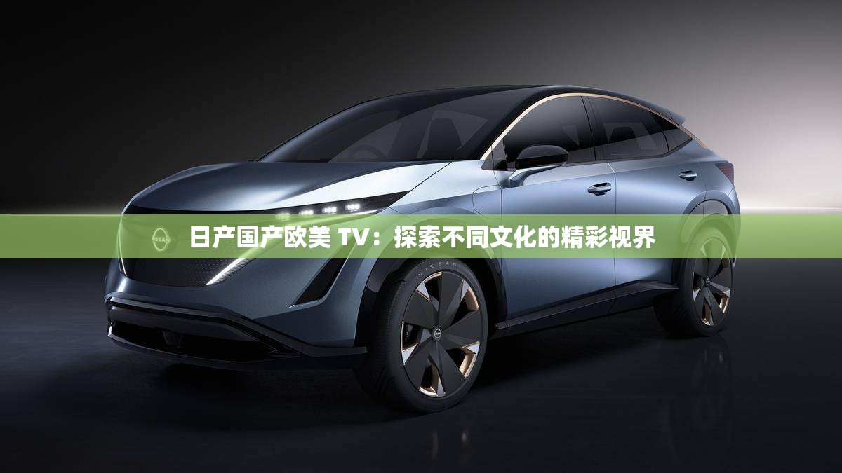日产国产欧美 TV：探索不同文化的精彩视界