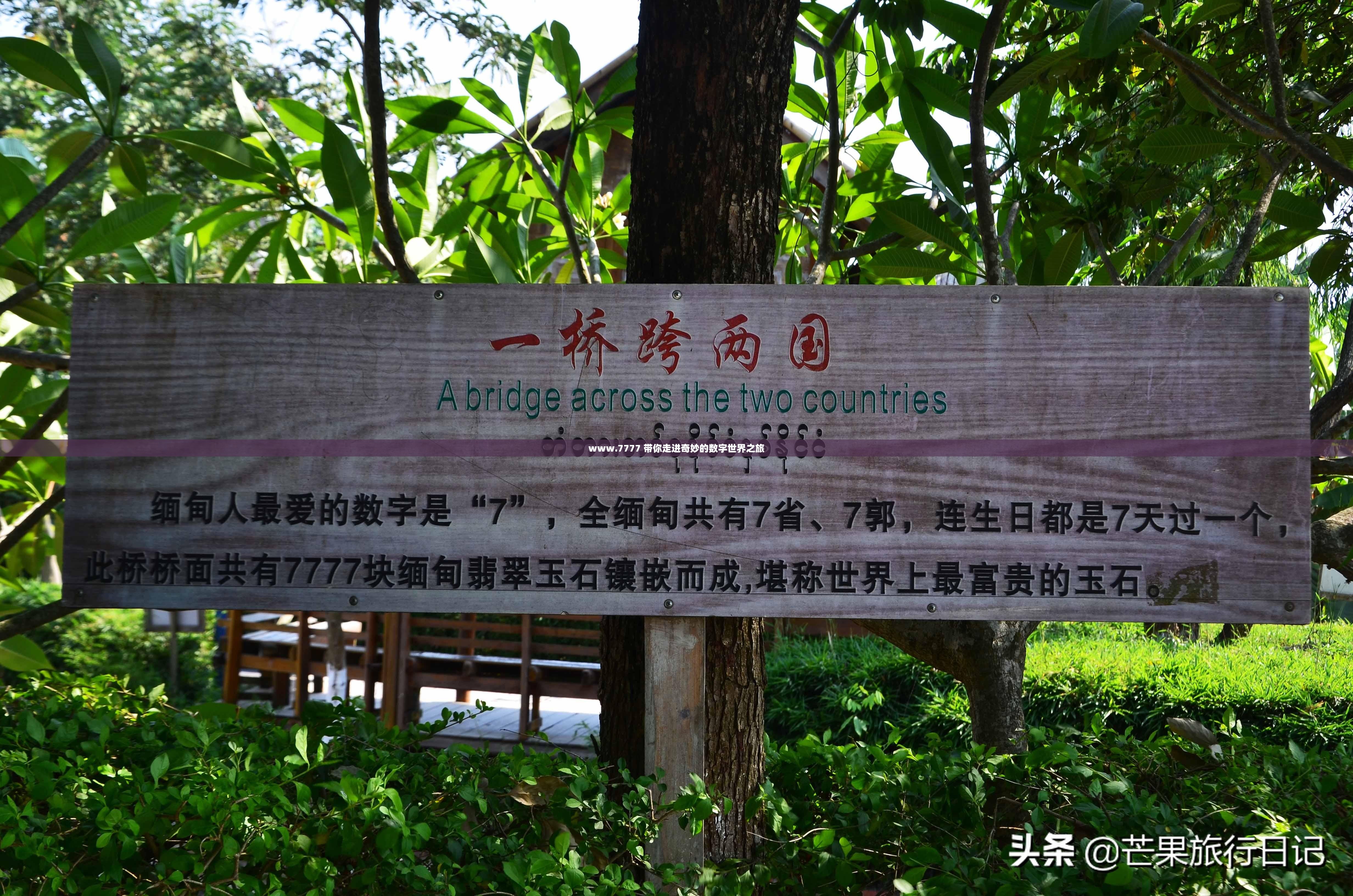 www.7777 带你走进奇妙的数字世界之旅